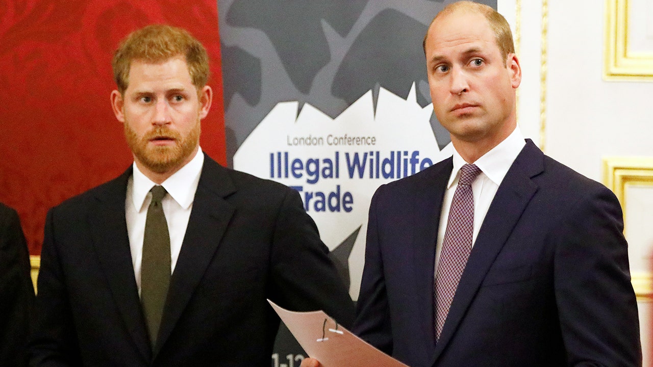 Prince Harry, Prince William will face challenges in reconciliation, the source says: ‘A lot has happened’