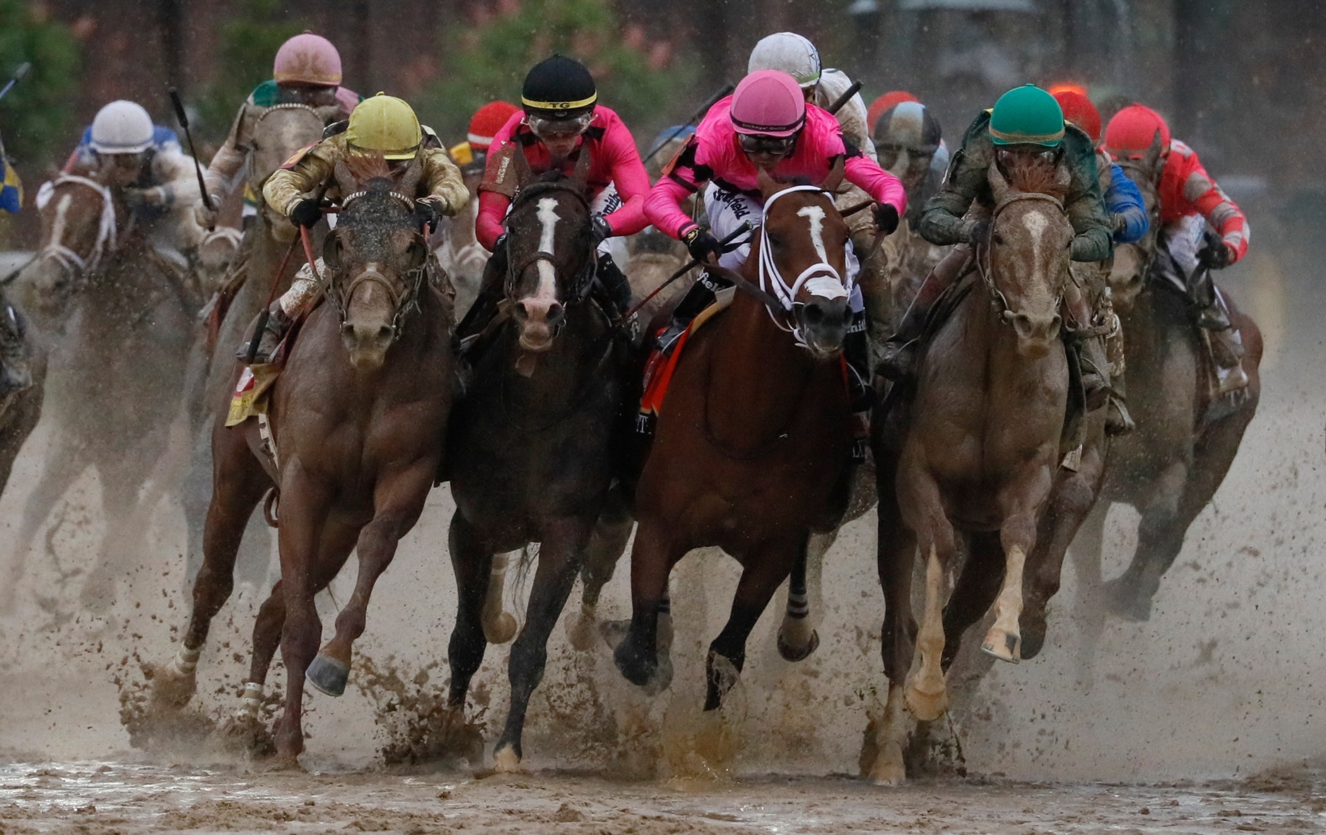 California racetrack suing animal-rights activists for disrupting horse racing: report