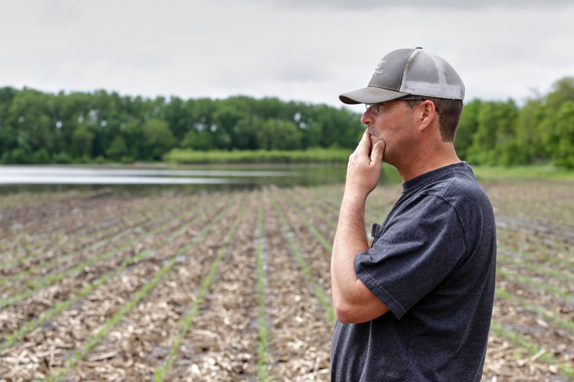 Farmers field. Farmer USA. Wicked - abandon in the field.