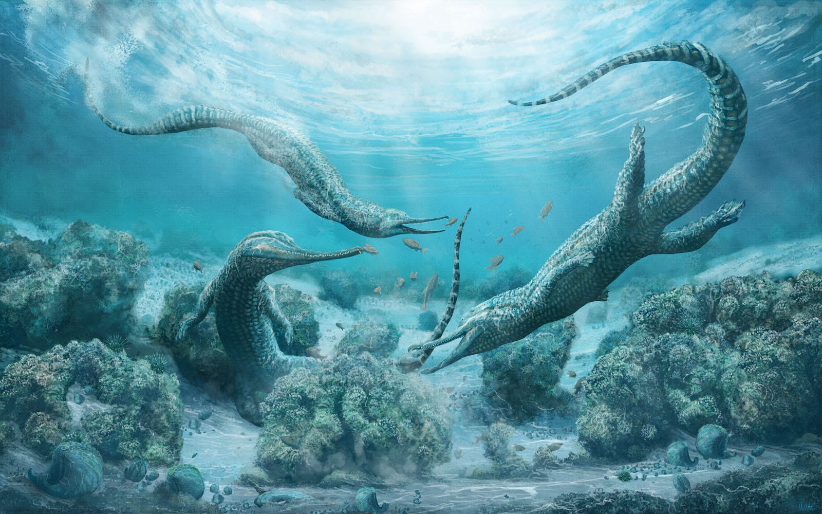 Car-size 'sea monster' terrorized Triassic oceans