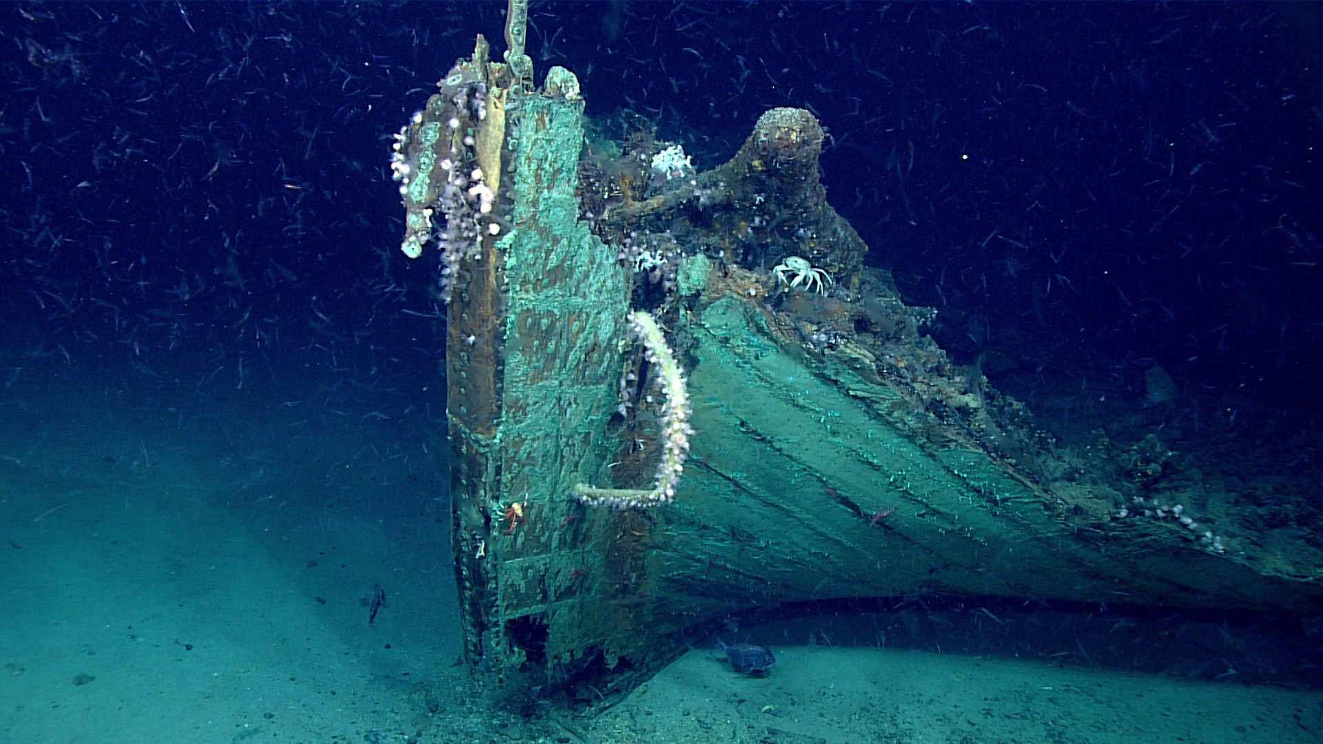 Mysterious 19th Century Shipwreck Discovered By Accident In The Gulf Of Mexico Fox News 0024