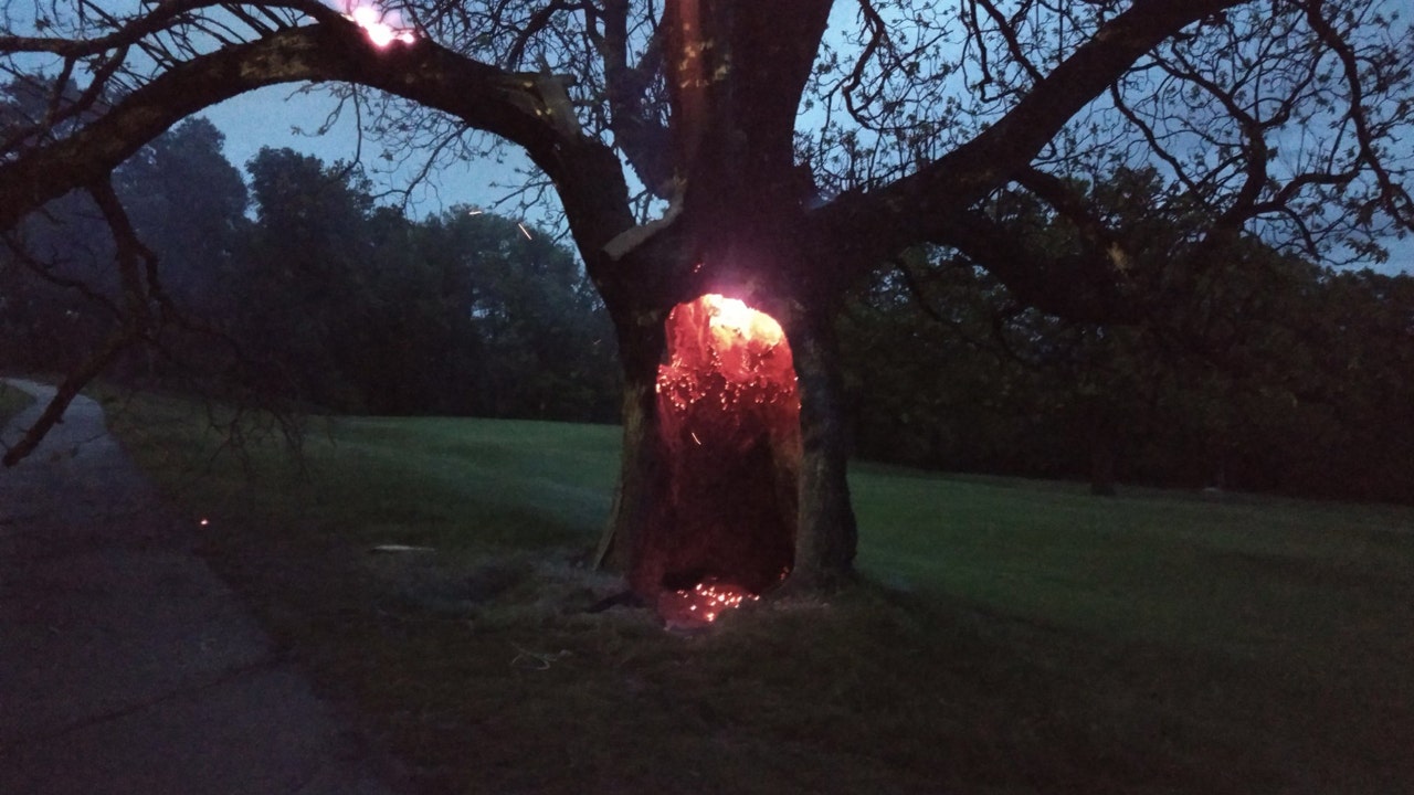 Tree Apparently Struck By Lightning In Massachusetts Leaving 