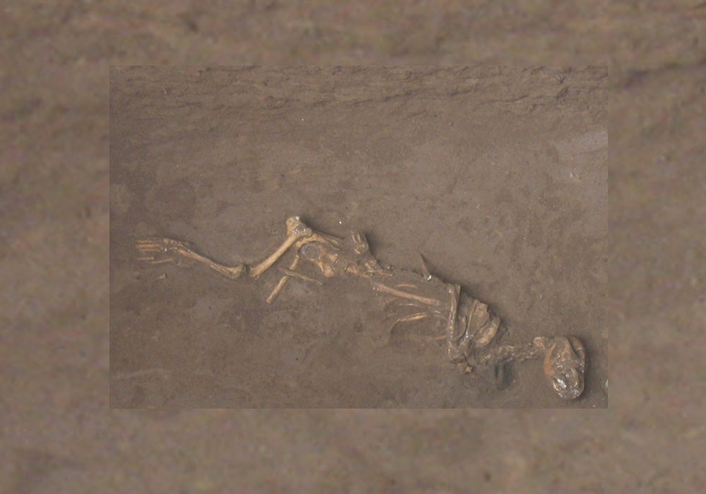 Dogs sacrificed by Shang Dynasty were just pups. Some were even buried alive.