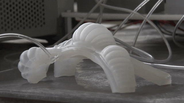 Researchers at NASA's Langley Research Center are developing soft robot actuators from 3D-printed flexible silicone molds to study how "soft robots" can be used for space exploration.