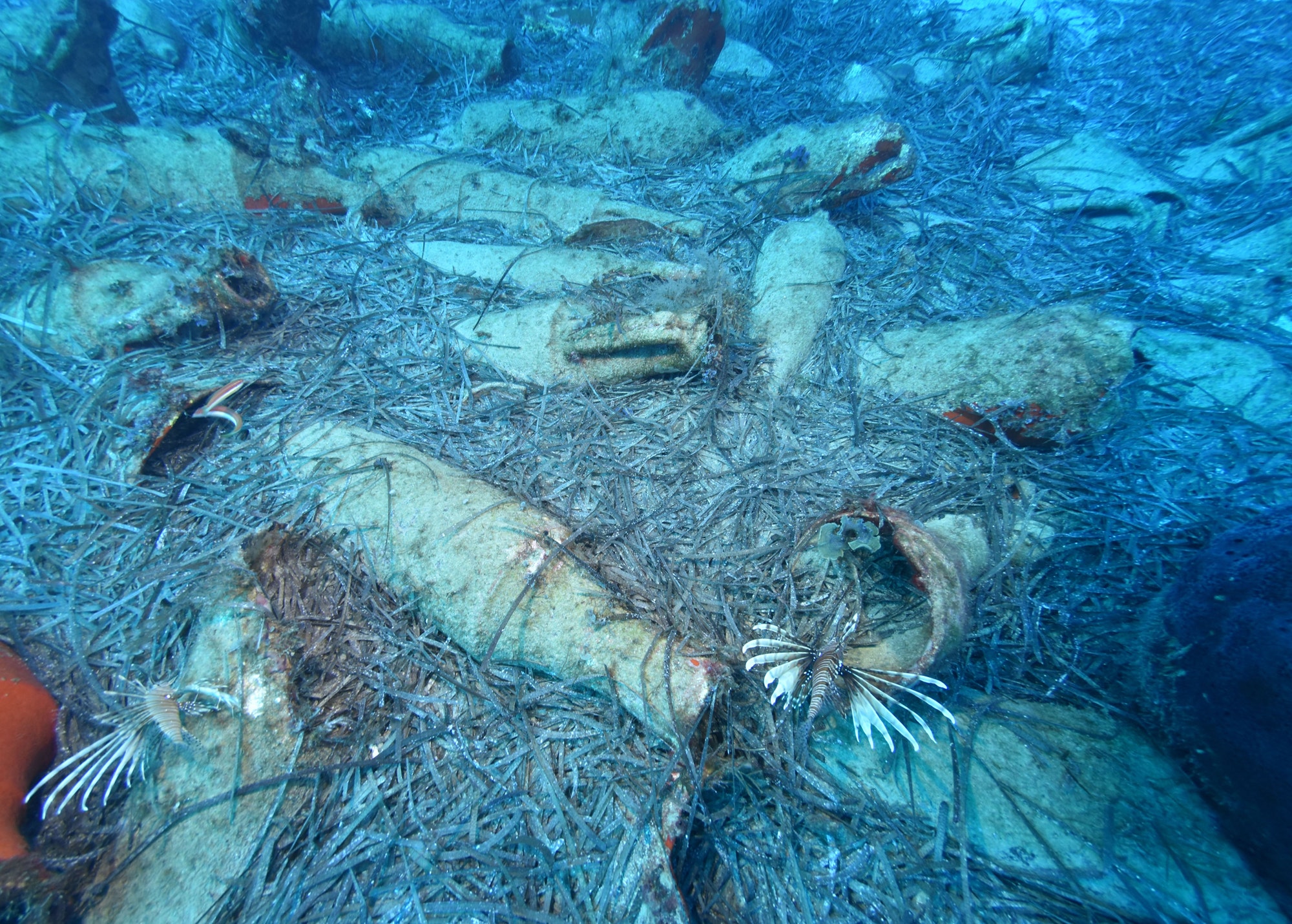  Undisturbed Roman era Shipwreck Discovered Off Cyprus Fox News