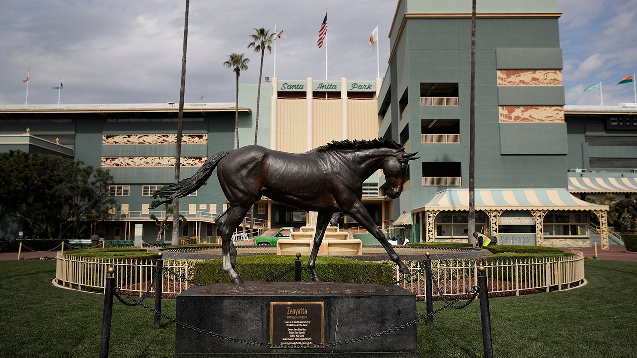 Review team to decide if horses fit to race at Santa Anita