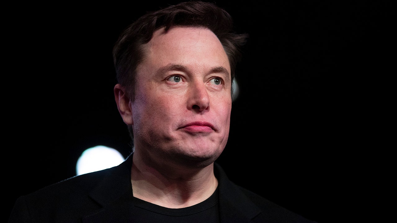 Elon Musk calls out Twitter employee caught in Project Veritas video mocking his Asperger's