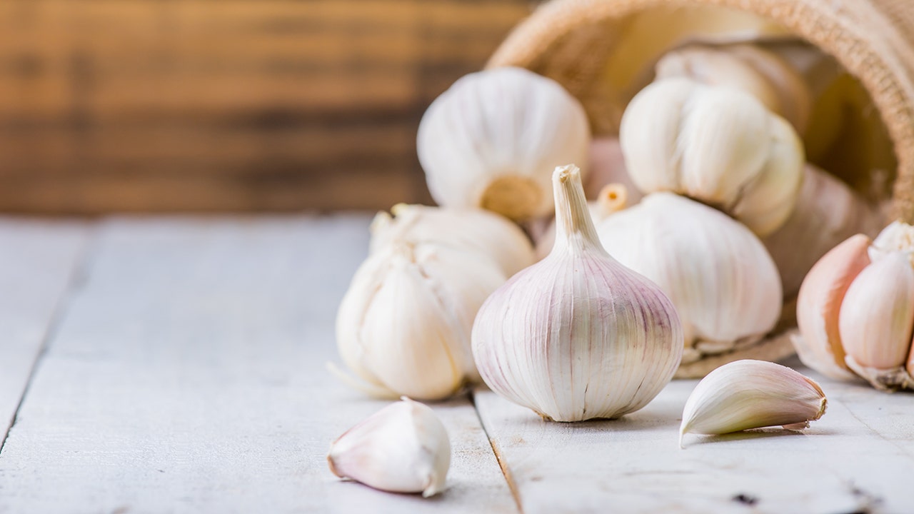 Garlic: Planting, roasting and understanding the health benefits of the plant