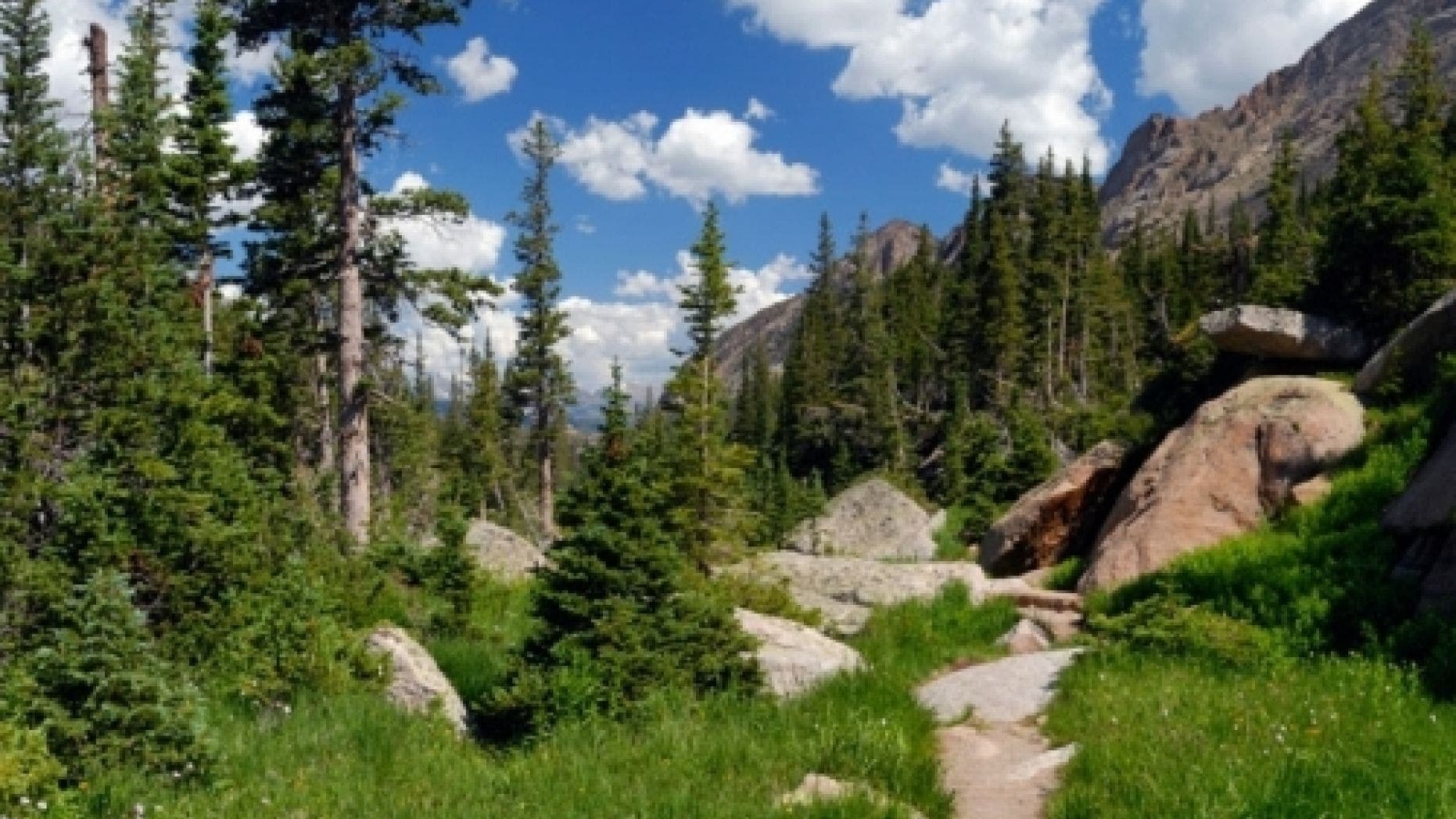 7 scenic Rocky Mountain drives for the whole family