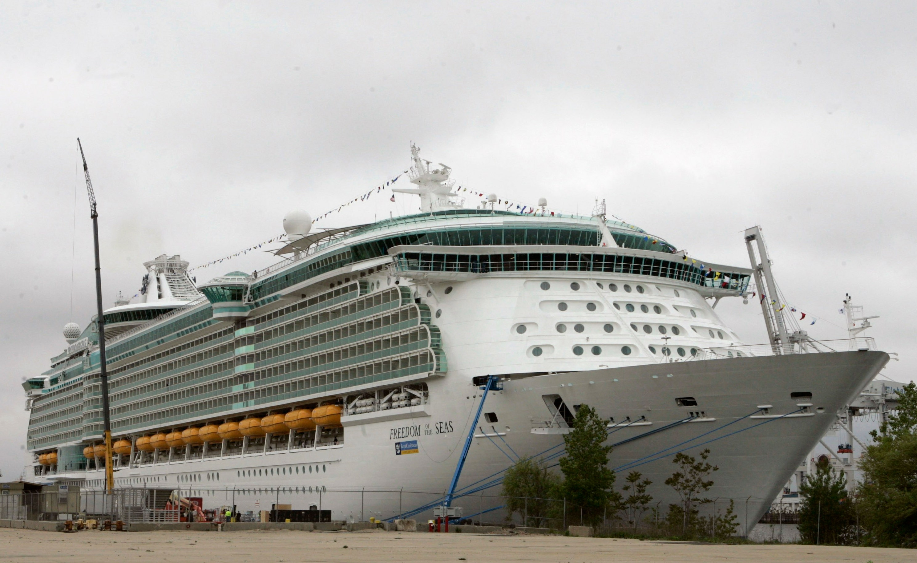 Royal Caribbean cruise line accused of destroying evidence by family of toddler who fell to her death