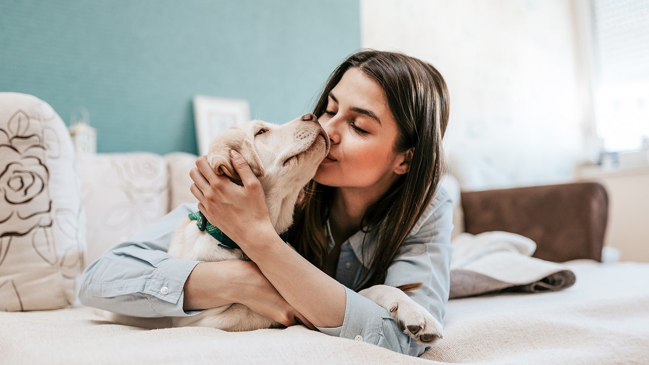 7 in 10 pet owners say they wouldn't have 'survived' 2020 without their animal companion
