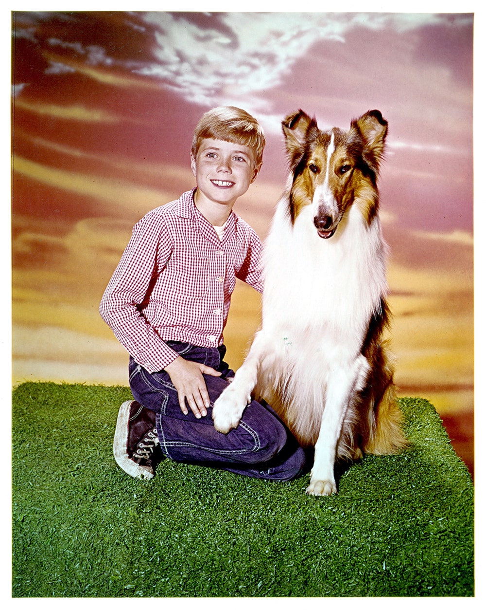 Lassie. The famous dog, Lassie, who appeared in many