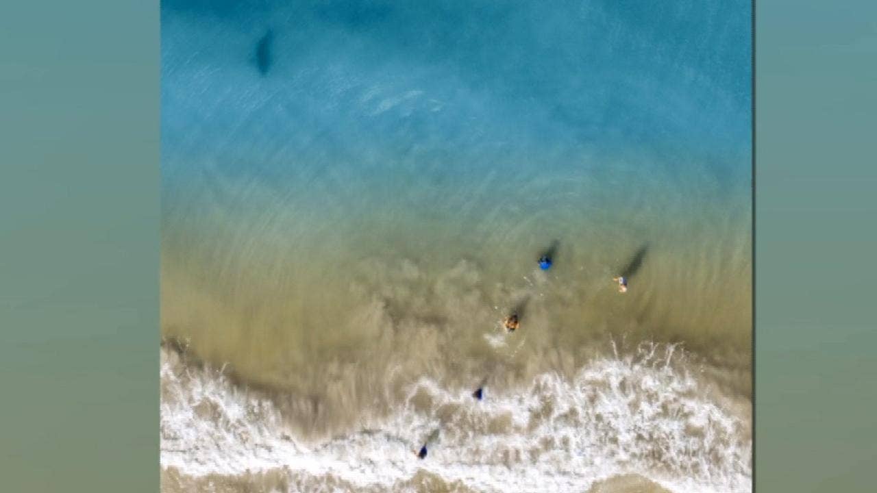 Florida Dad Spots Shark Lurking Near Kids While Taking Beach Photos With Drone Fox News