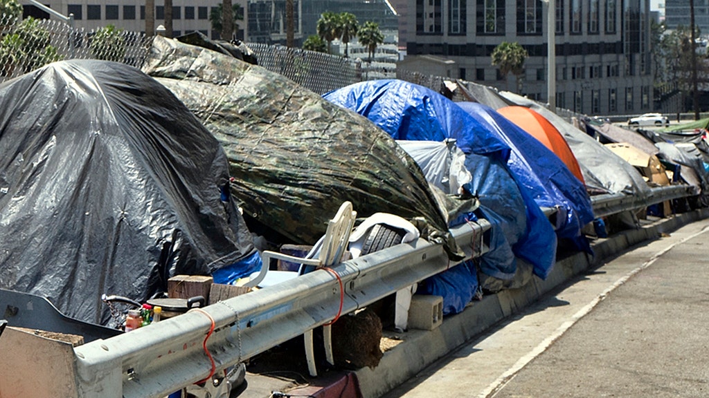 Transient Analysis Icon Transient sentenced for deadly Sacramento homeless camp shooting | Fox News