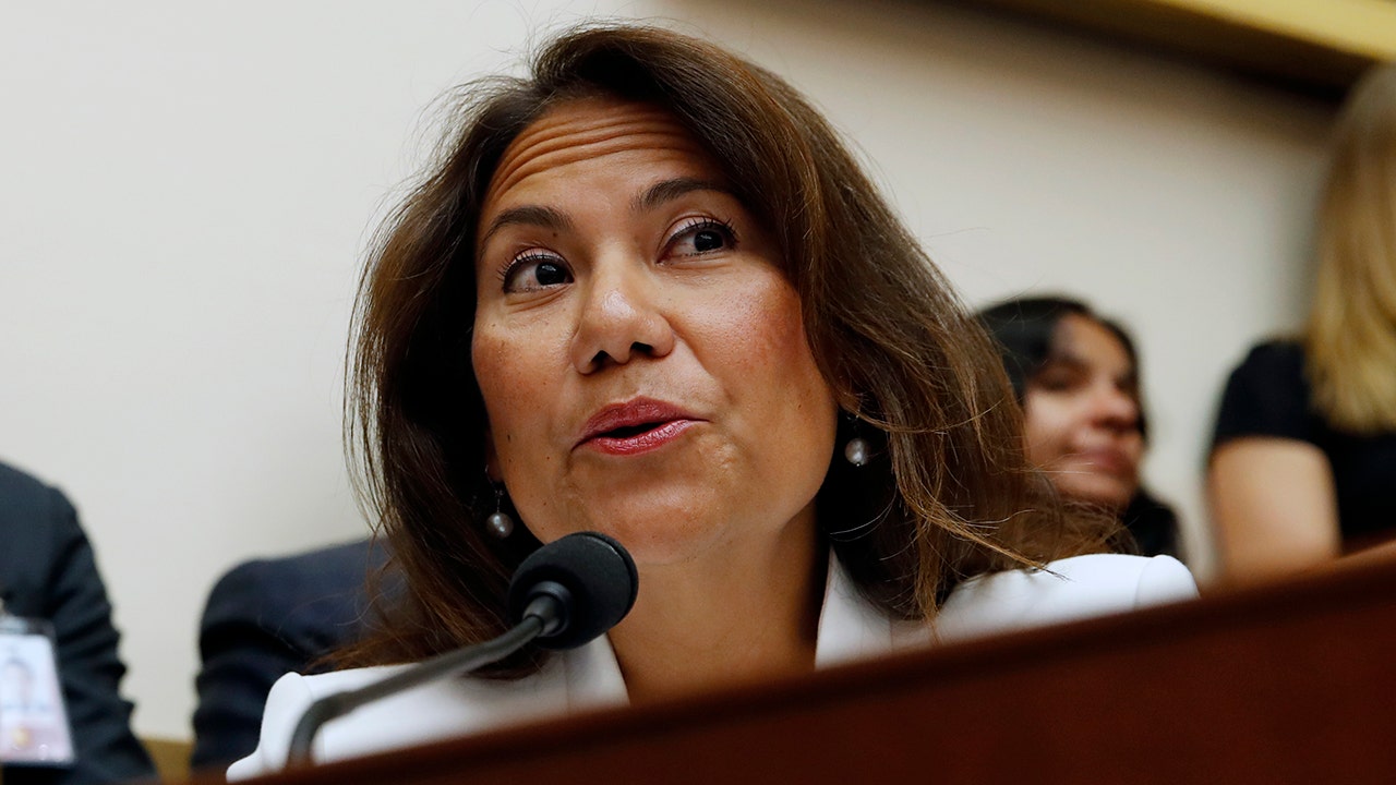 Texas Democrat calls for migrant 'humanitarian centers,' with limited CBP, ICE oversight