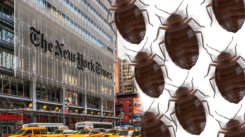 New York Times newsroom hit by bed bug infestation report Fox News