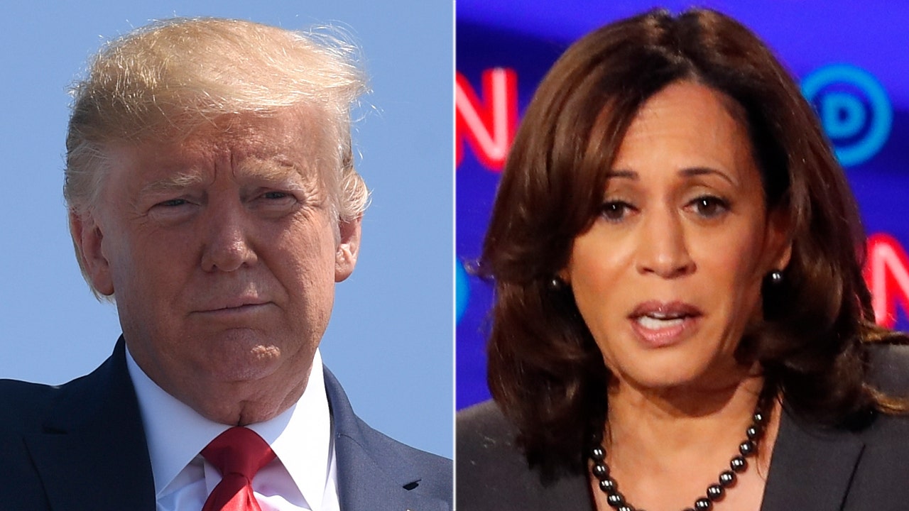 Kamala Harris: DHS raid on illegal immigrants was a 'campaign of terror ...