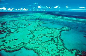 Australia lowers Great Barrier Reef outlook to 'very poor' - Fox News
