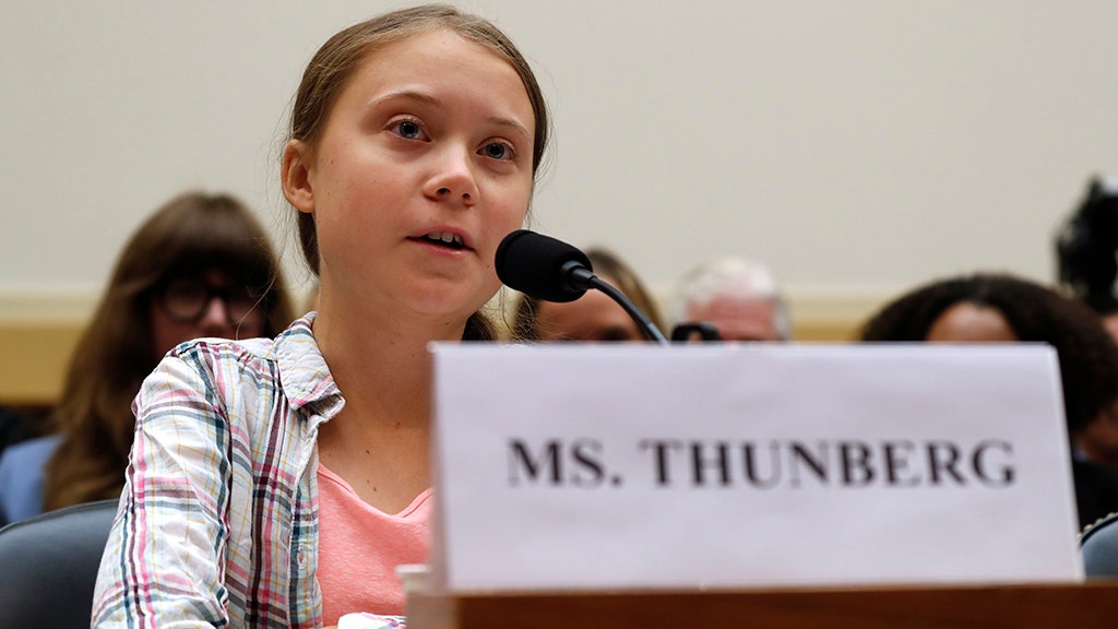 Climate activist Greta Thunberg, 16, tells House committees 'Unite