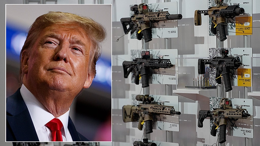 Gidley Trump Wants Real Solutions To Curb Gun Violence Not Feel Good Legislation Fox News 1312