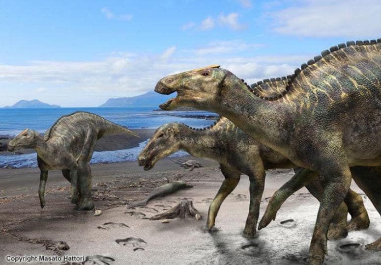 Dinossauro Tiranossauro Rex Jurassic Animais Menino Mielle - Dupari