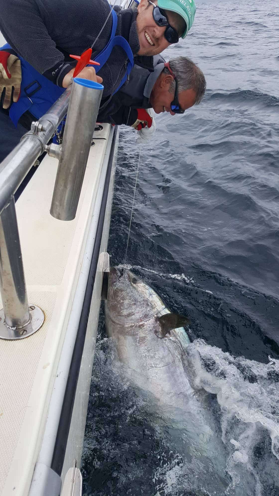 Fishermen catch bluefin tuna worth up to $120G, release it back into ocean