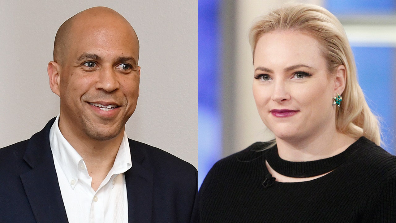Meghan McCain rips Booker campaign in Twitter feud: Your candidate's 'polling in 11th'
