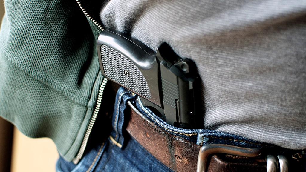 Michigan county’s backlog on concealed-pistol licenses prompts lawsuit: report