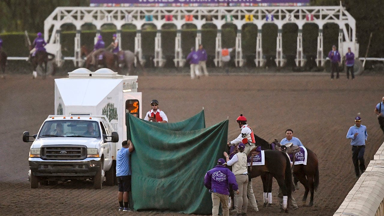 Santa Anita Park horse euthanized after Breeder's Cup injury, death toll now 37