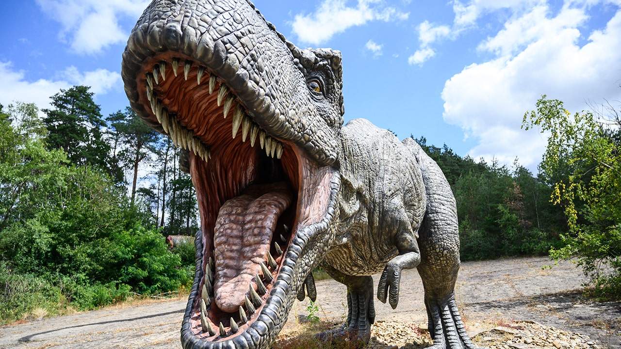 Deinocheirus fossils reveal dinosaur behind huge 'T.rex' arms