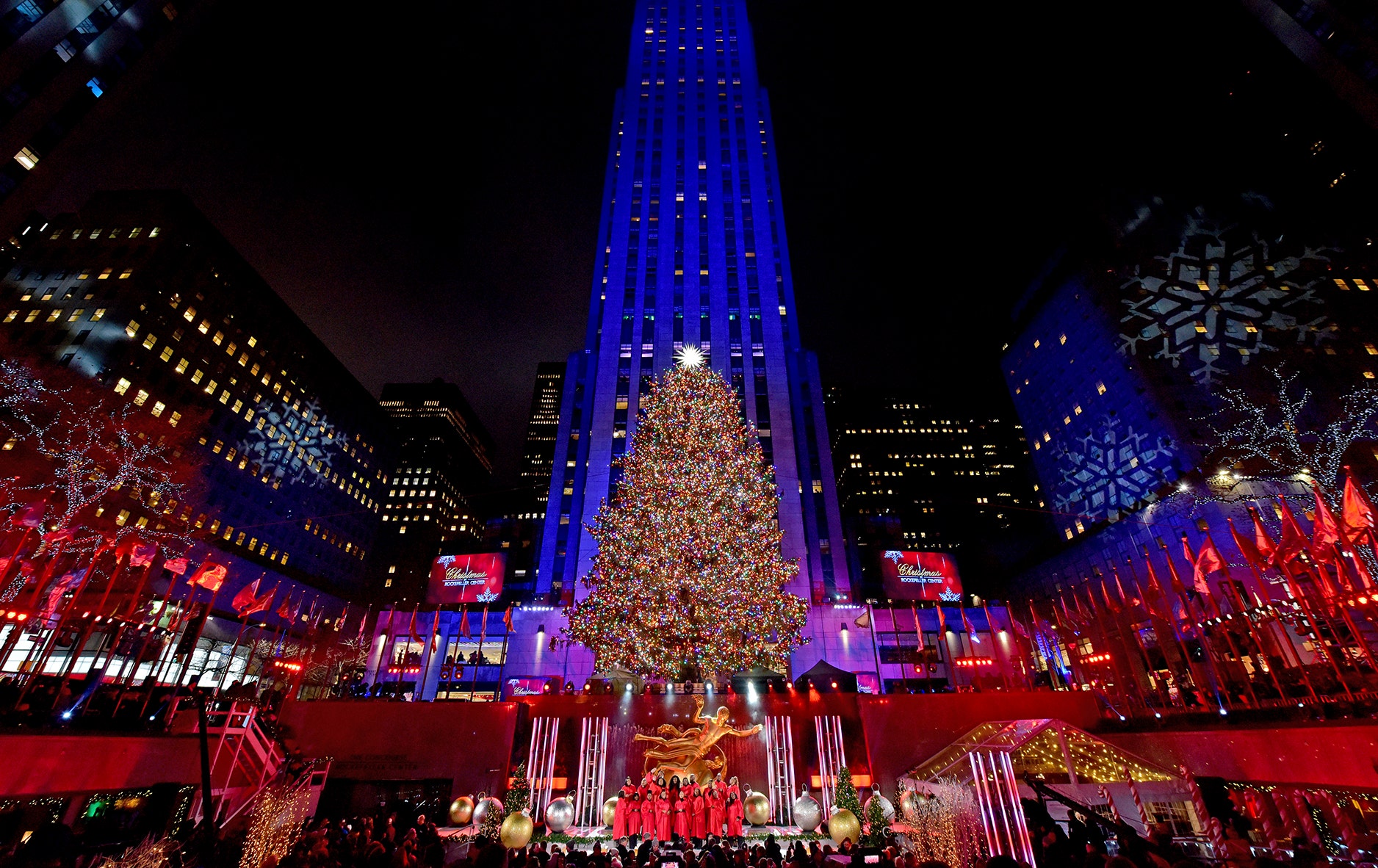 Home for the holidays Rockefeller tree arrives in NYC Fox News