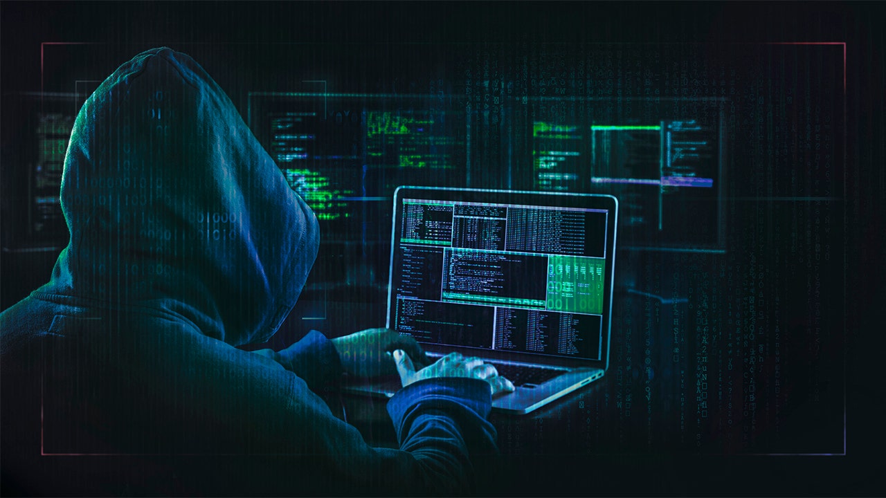 DOJ seizes Hive ransomware gang website
