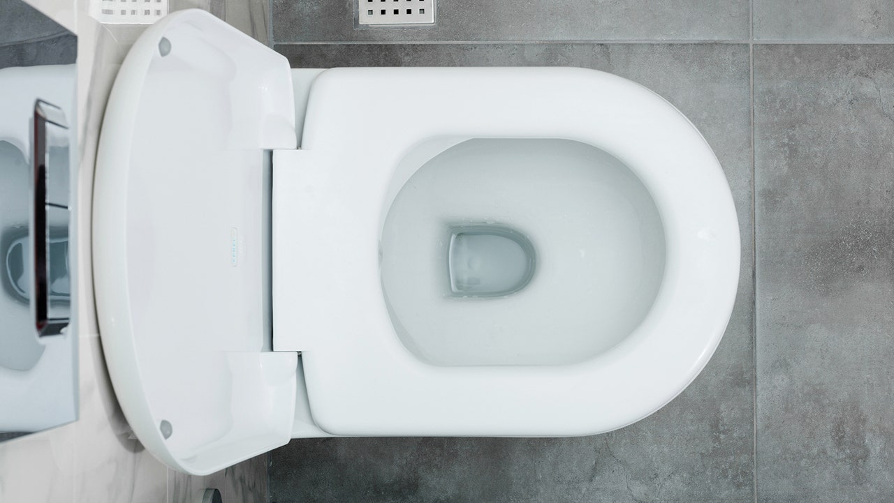 Toilet Flushes May Spread Legionnaires Disease Fox News