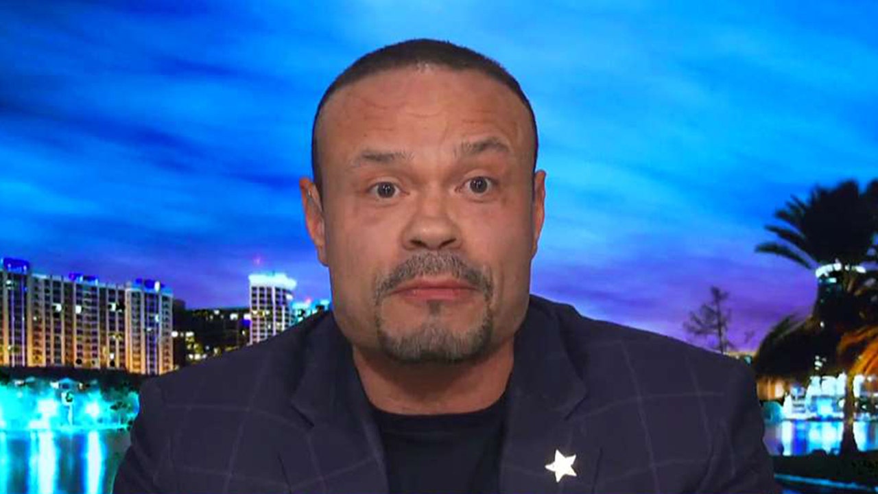 Dan Bongino on John Bolton's manuscript leak: 'There is nothing here ...