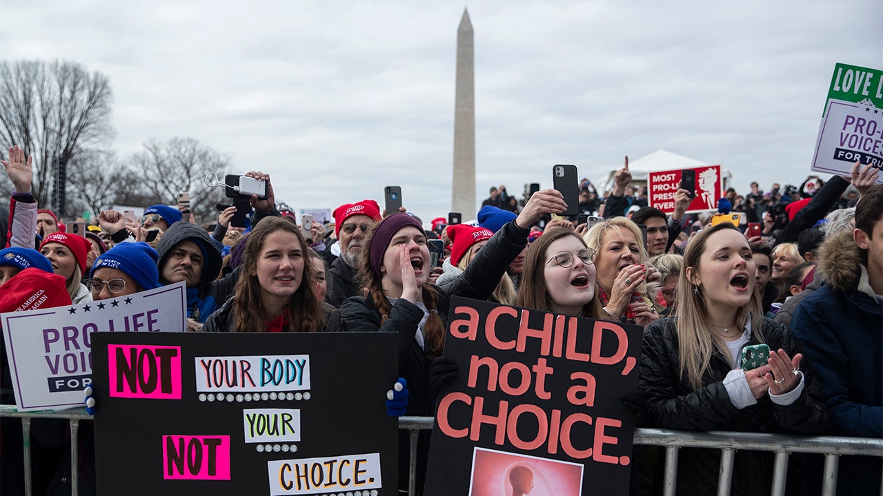 Sex Education Org Depicts Fetus As Circular Blob In Video Describing