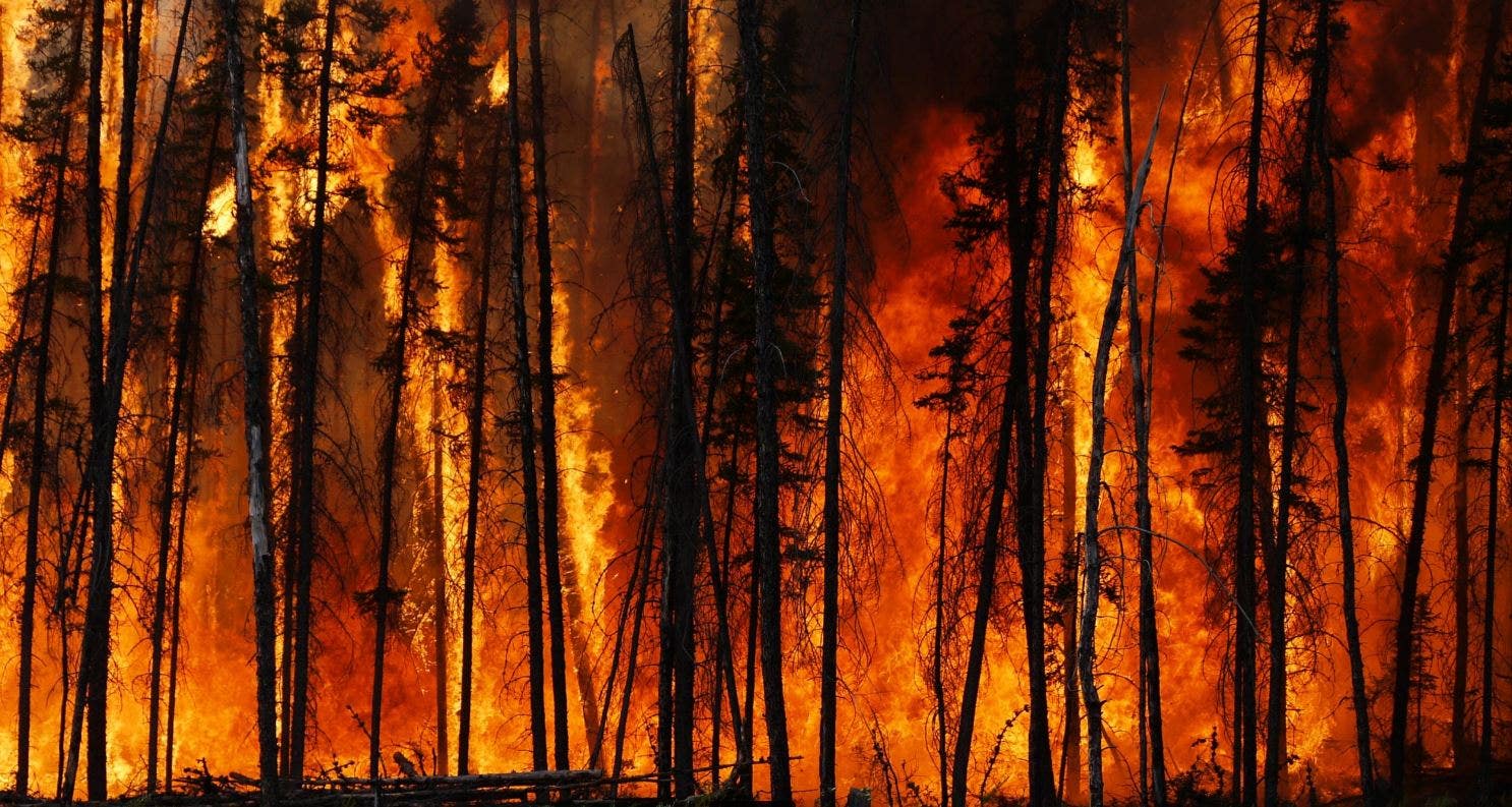 Town ravaged by wildfire after enduring Canada’s all-time hottest temps