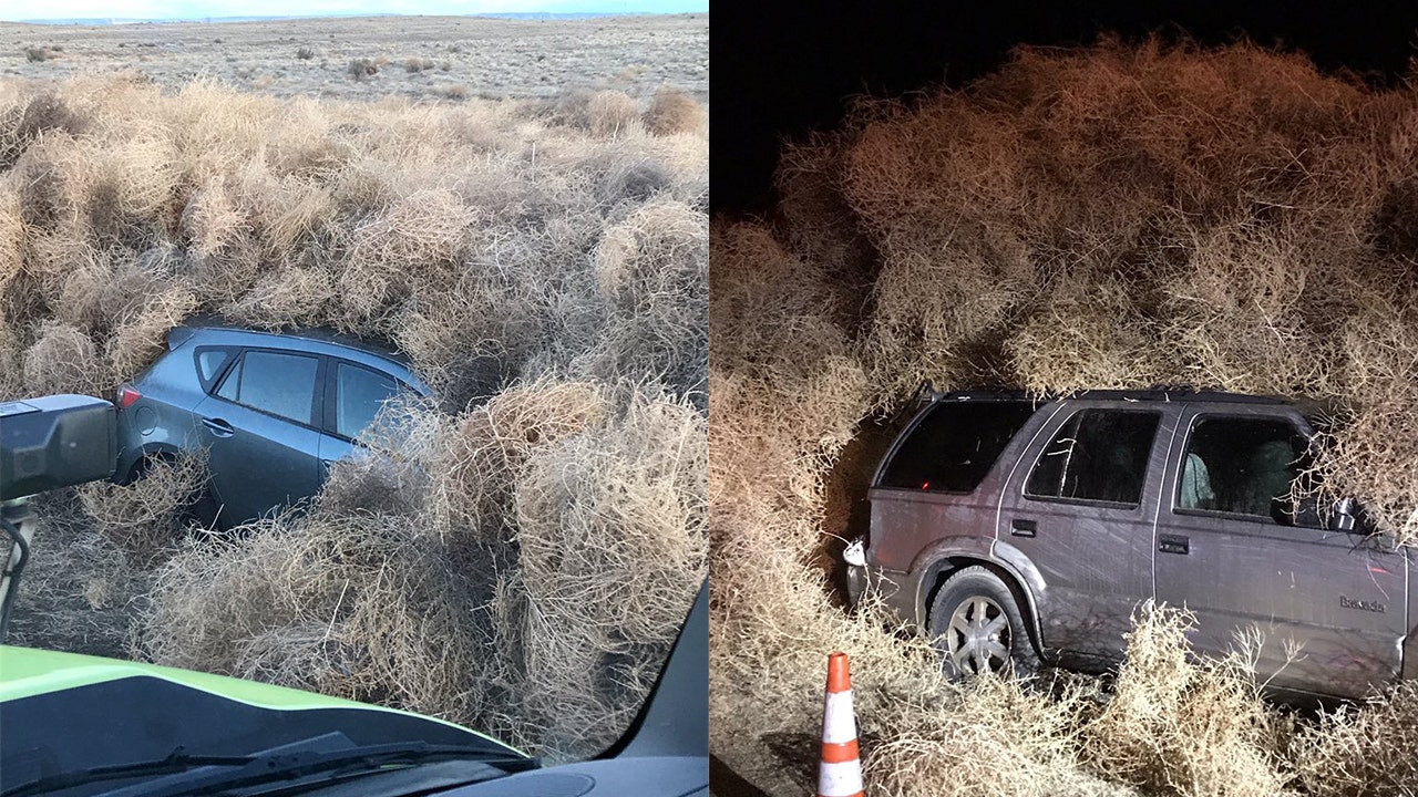 Several cars trapped overnight inside monster tumbleweed pile in eastern  Washington 