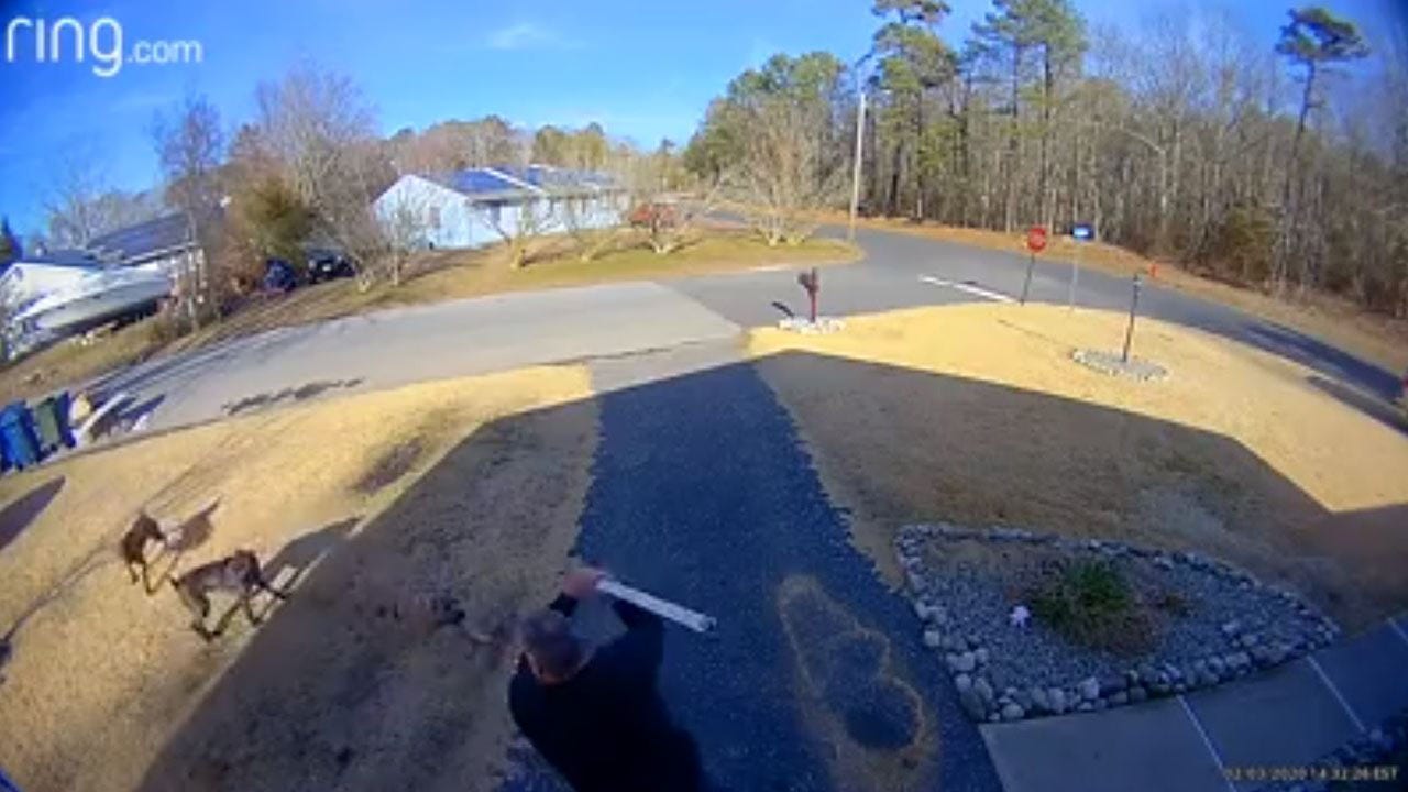 New Jersey man fights off dog pack menacing neighborhood in ‘terrifying