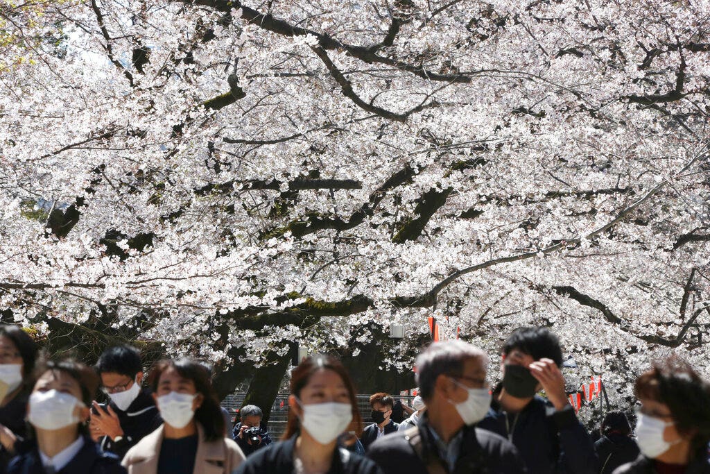 Why japanese. Токио карантин. Tokio город карантин. Япония под карантином. Япония до карантина.