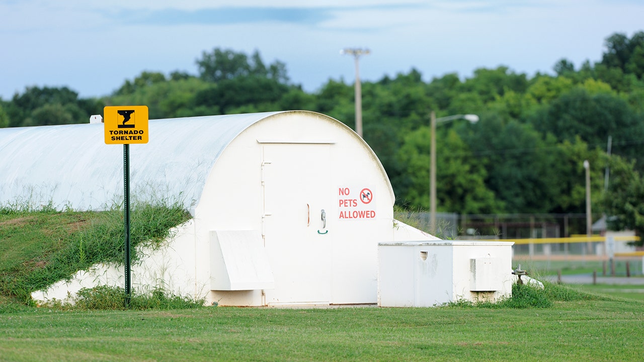 Tornado Safety for Pets