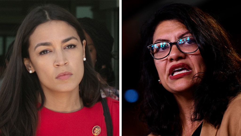 FOX NEWS: 'The Squad' reps. decry racial double standard after armed protesters gather at Michigan Capitol