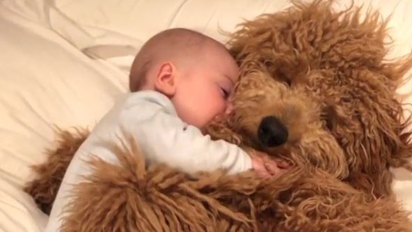 Adorable video of baby cuddling pet dog goes viral: 'People just want