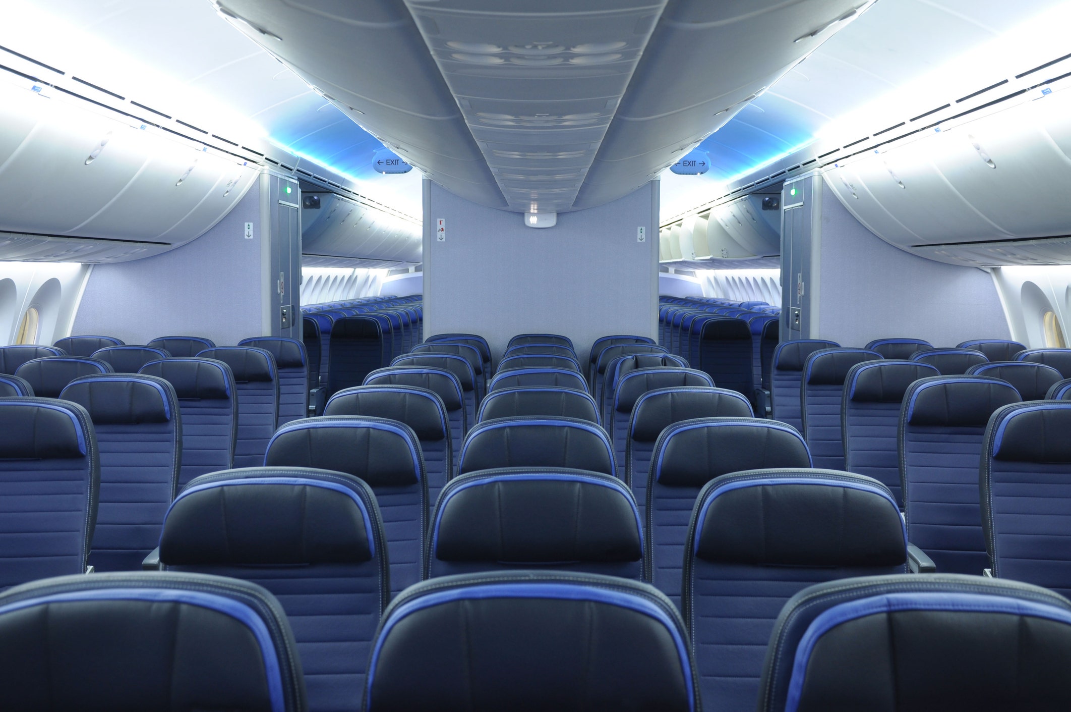 Plus-size airline passenger demands free seats and bigger bathrooms in online petition to FAA