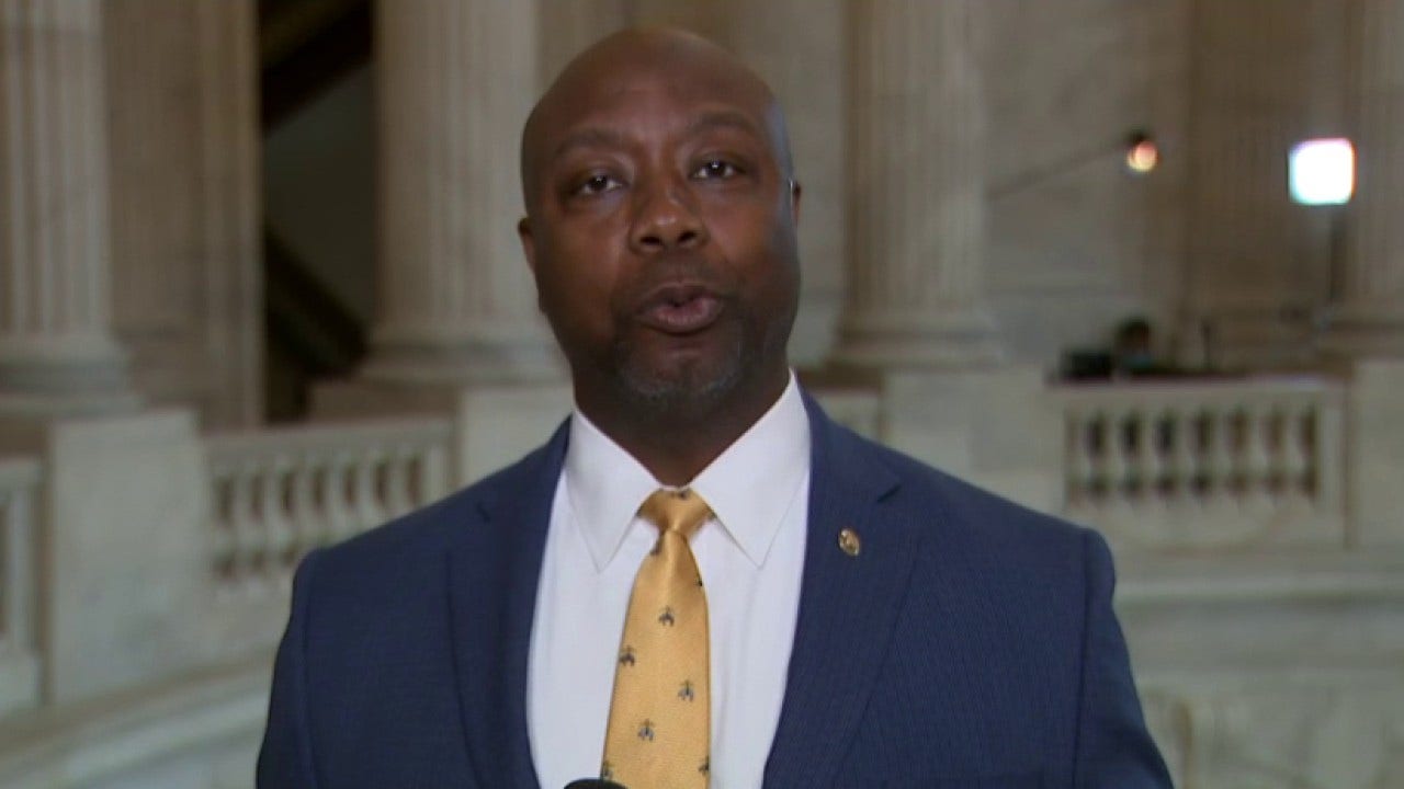 Texas Democratic official resigns after calling Tim Scott an 'oreo'