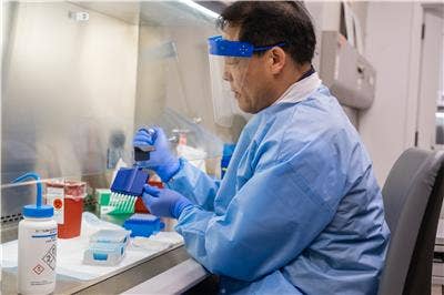 Coronavirus antibody tests become surprising new trend at wellness spas, Botox clinics, report says