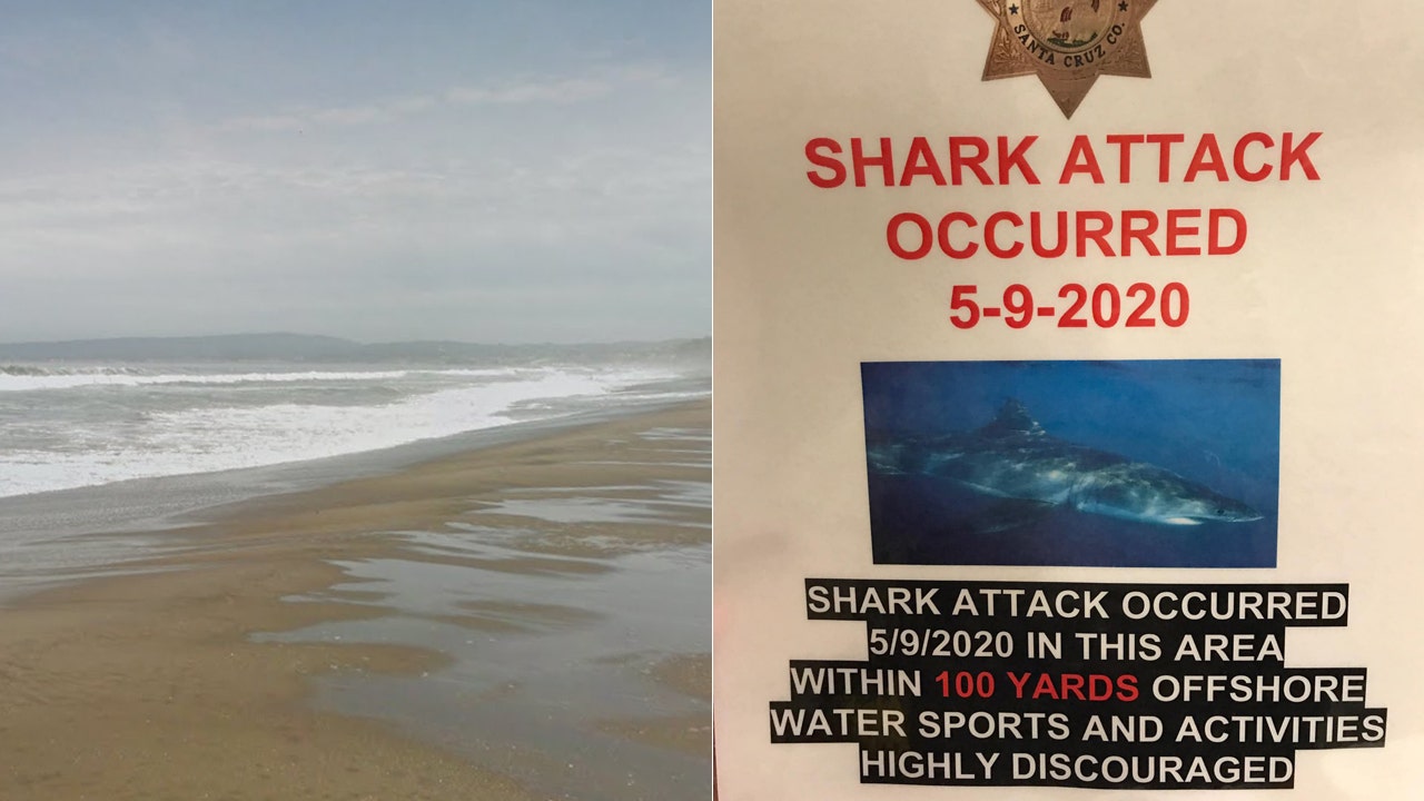 California surfer killed in shark attack state beach closed Fox