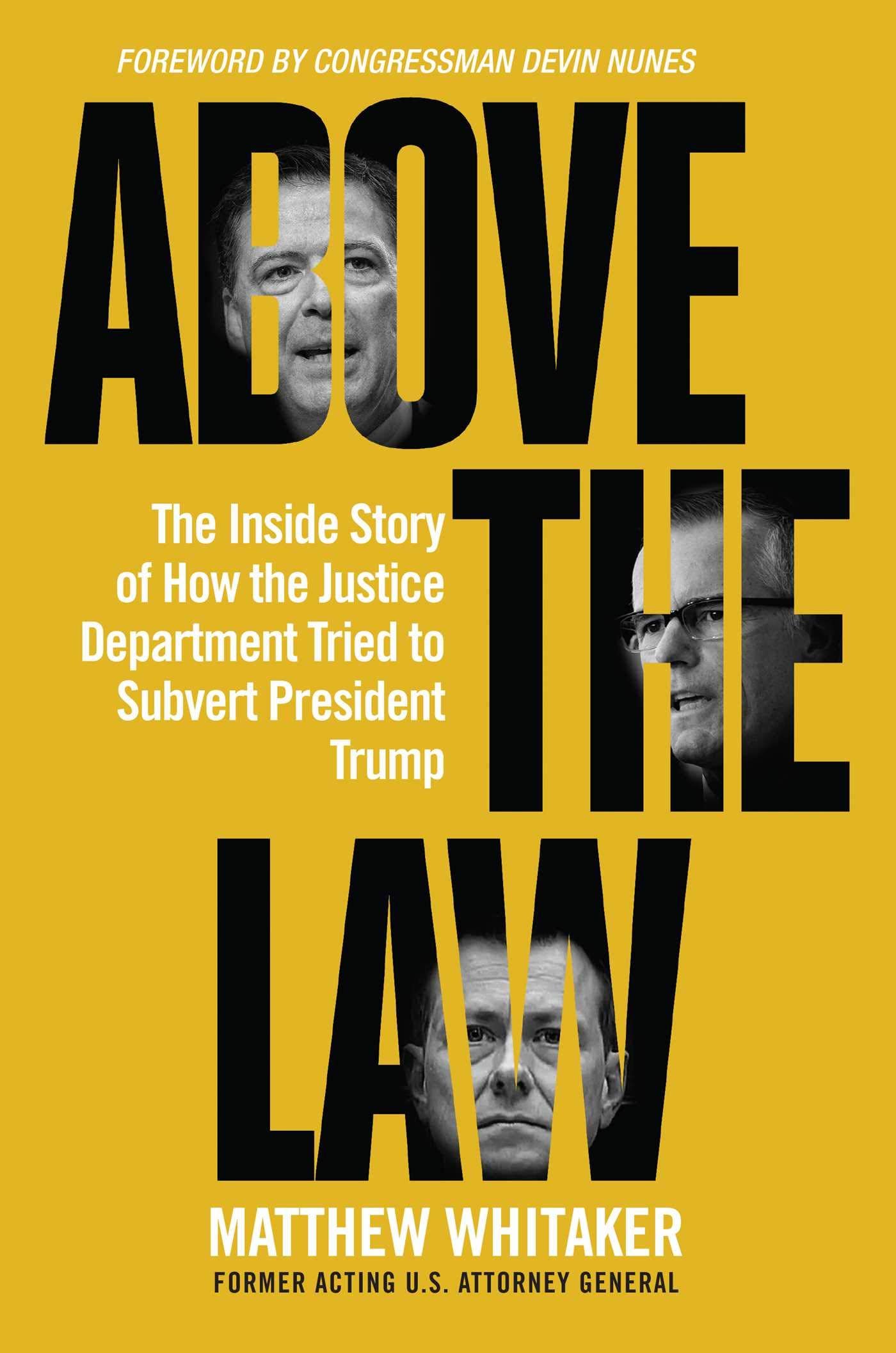 'Above the Law' by Matthew Whitaker