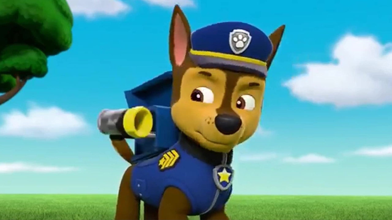 Paw Patrol Chase Mad 