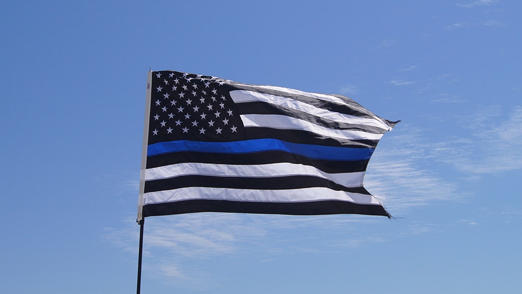 Minnesota police officer forced to apologize over Thin Blue Line flag: 'Tarnished with divisive undertones'