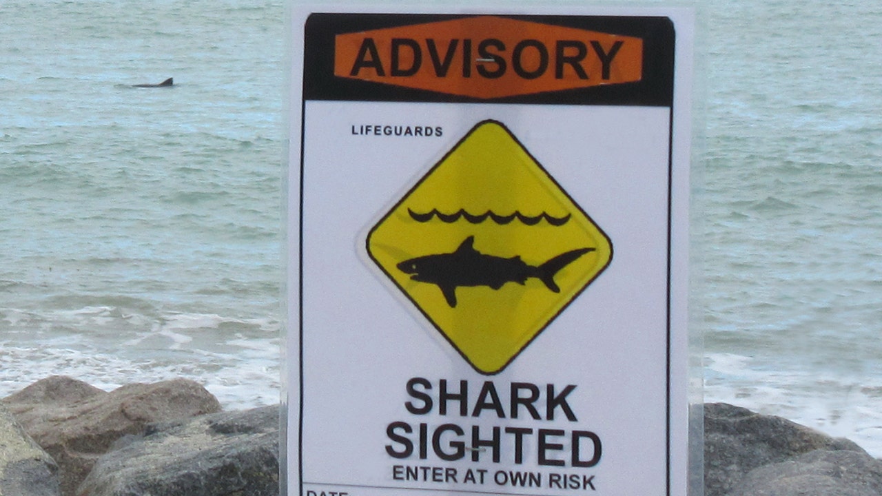 Florida shark attack leaves teen with 'serious injuries'